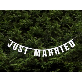 Baner Just Married, 18 x 170cm